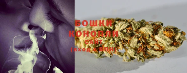 винт Осинники