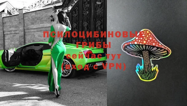 амф Осташков