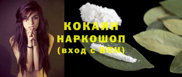 винт Осинники
