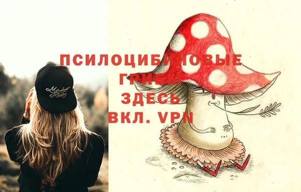 прущие грибы Остров