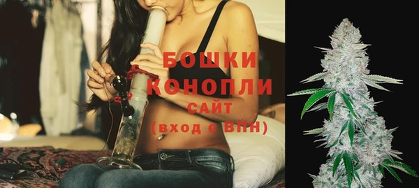 амф Осташков