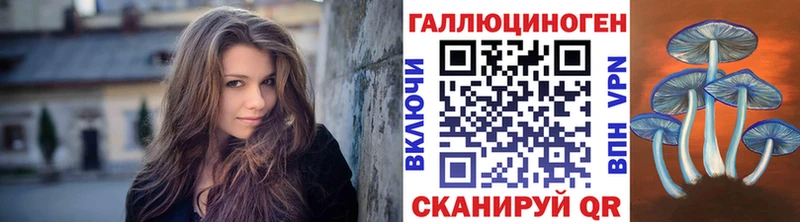 Галлюциногенные грибы Psilocybine cubensis  где можно купить   Циолковский 